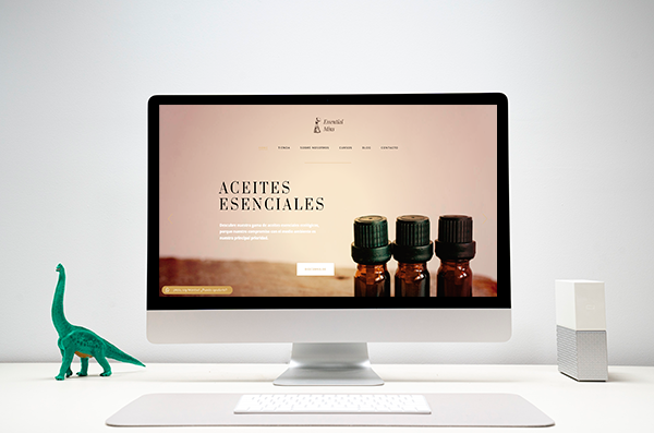Portfolio arantxaengancha diseño web para la marca Essential Mins